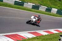 cadwell-no-limits-trackday;cadwell-park;cadwell-park-photographs;cadwell-trackday-photographs;enduro-digital-images;event-digital-images;eventdigitalimages;no-limits-trackdays;peter-wileman-photography;racing-digital-images;trackday-digital-images;trackday-photos